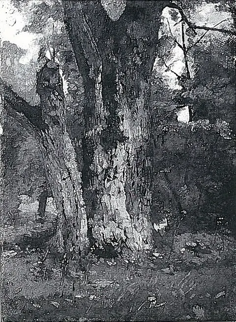 Aweiderpark in Königsberg