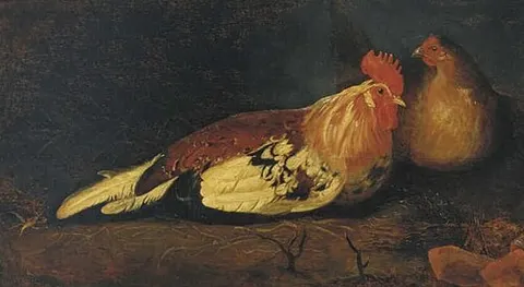 A Rooster and a Hen
