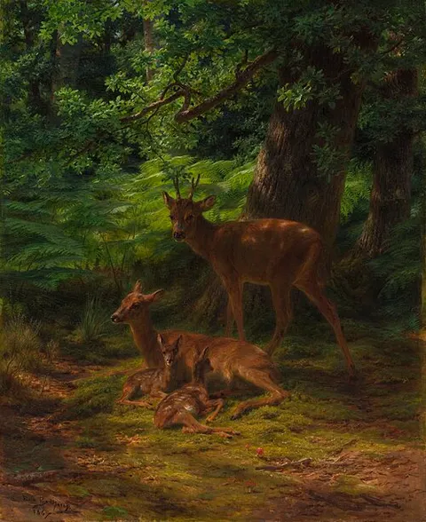 Deer in Repose