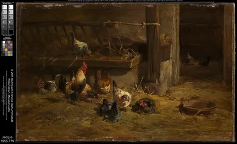 Poultry