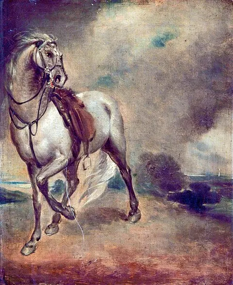Study of a Horse