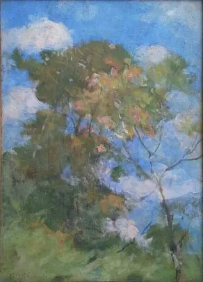 Céu de Teresópolis