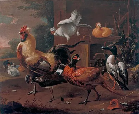 Poultry-yard