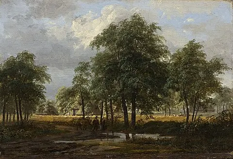 Wooded landscape