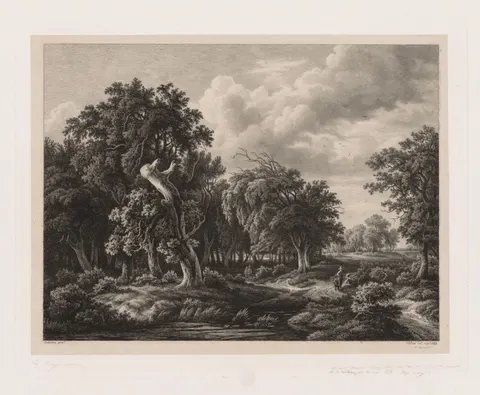 Groups of Various Plants Drawn After Nature:  No. 7