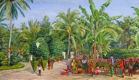 View from the Artist's Window at Buitenzorg, Java