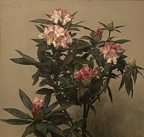 Rhododendron Branch in Bloom