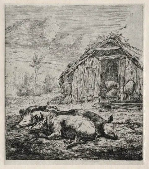 Three Swine Lying in Front of a Sty