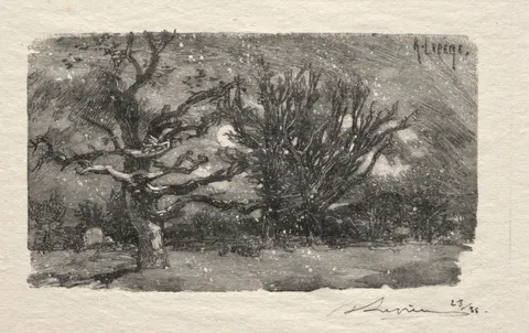 Au dormoir de Lantara
