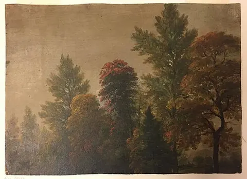 (Landscape Fragment) Autumn Foliage