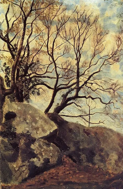 Study of Trees