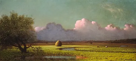 Sunlight and Shadow: The Newbury Marshes