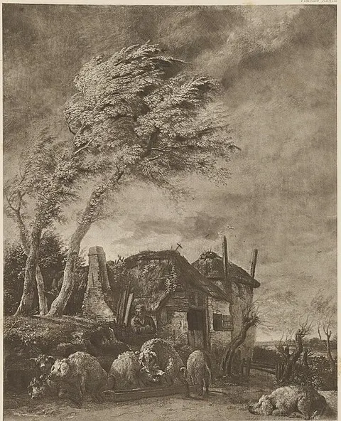 Pigs Being Fed
