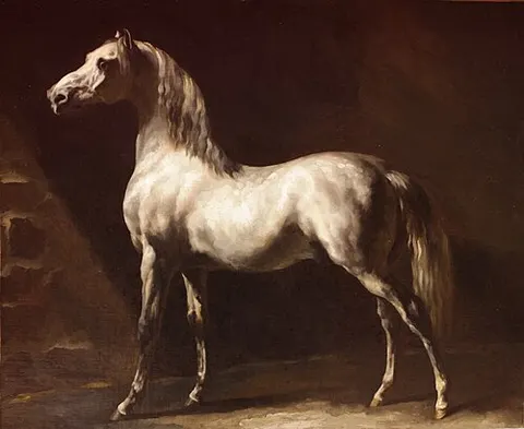 Gray Horse