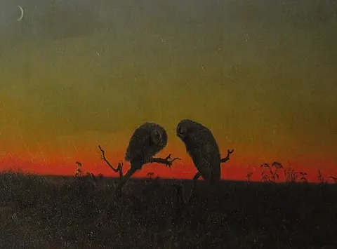 Dos búhos al atardecer