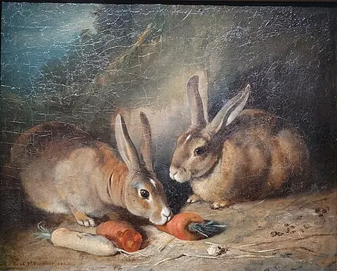 Lapins