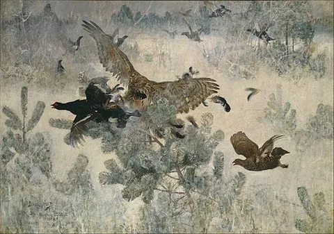 Hawk and Black-Game