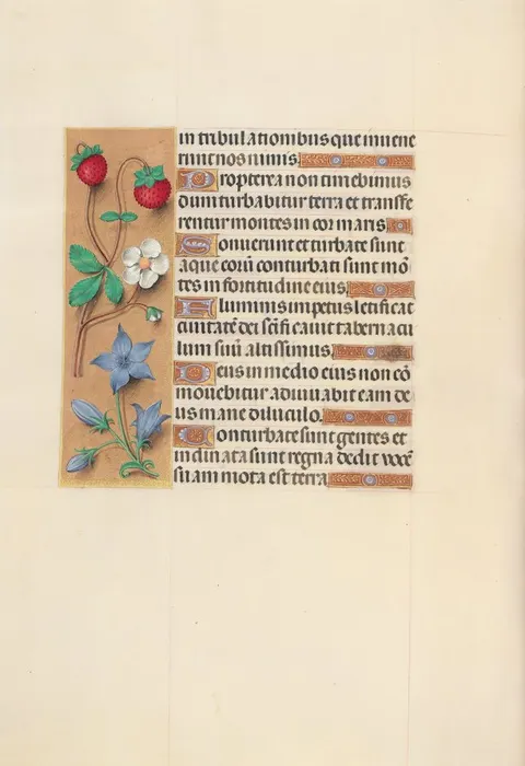 Hours of Queen Isabella the Catholic, Queen of Spain:  Fol. 105v