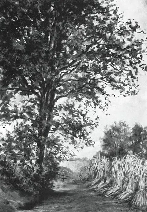 Lane with sheaves of rye