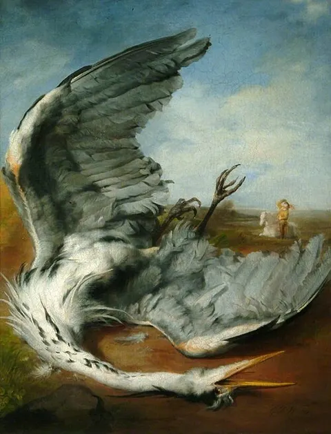 The Wounded Heron