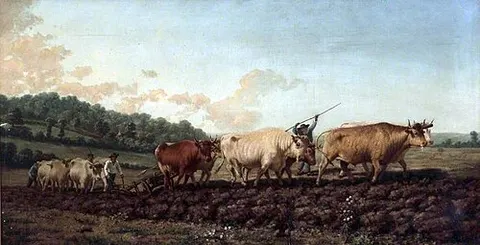 Ploughing in the Nivernais