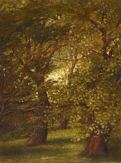 Old Trees in the Garden at Merton Villa