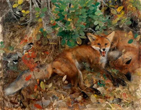 Foxes