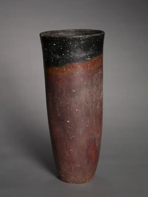 Black-Topped Beaker