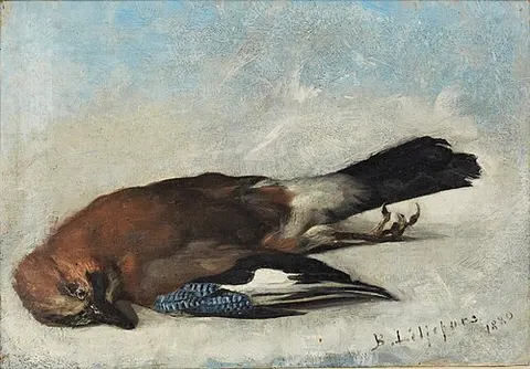 Eurasian jay