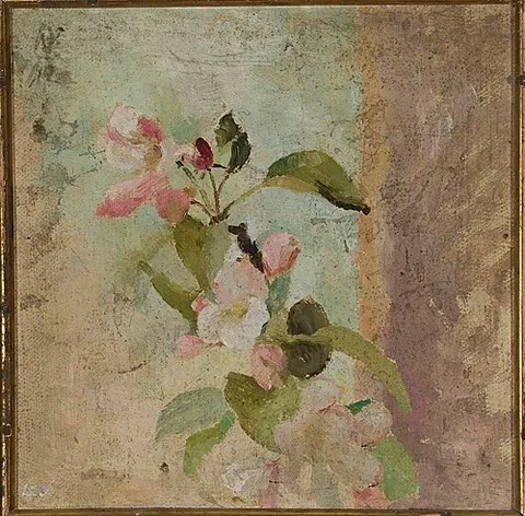 Apple blossoms