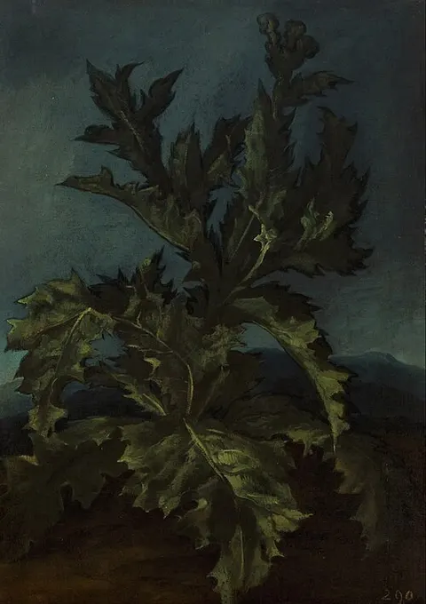Thistle