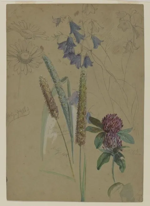 Flower Study