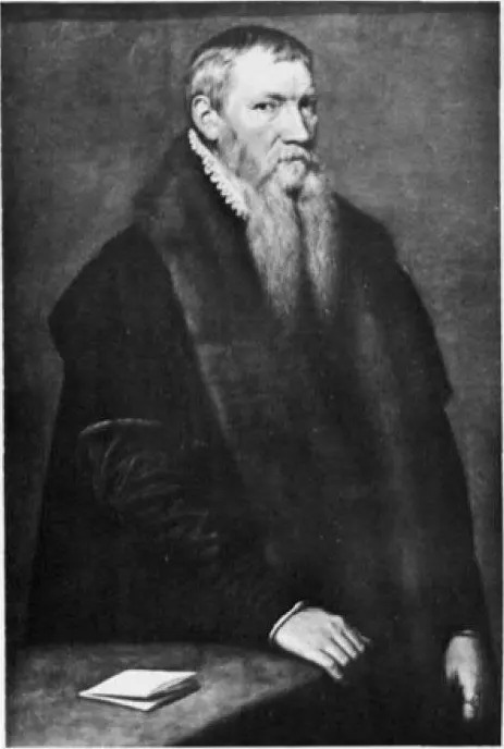 Portrait of an Unknown Gentleman