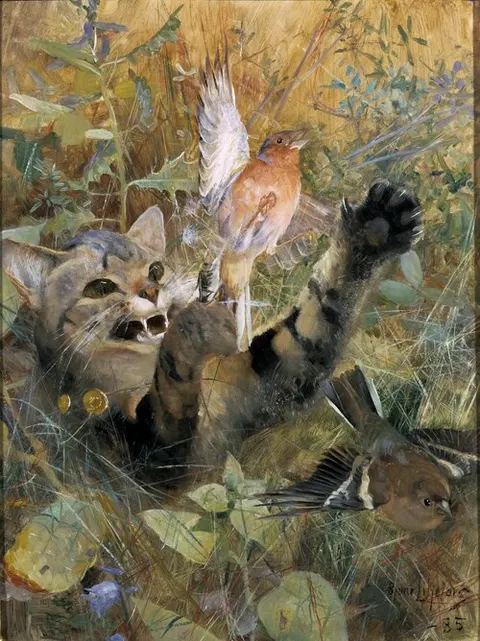 A Cat and a Chaffinch. Five animal studies in one frame, NM 2223-2227