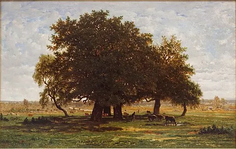 Les Chênes d'Apremont