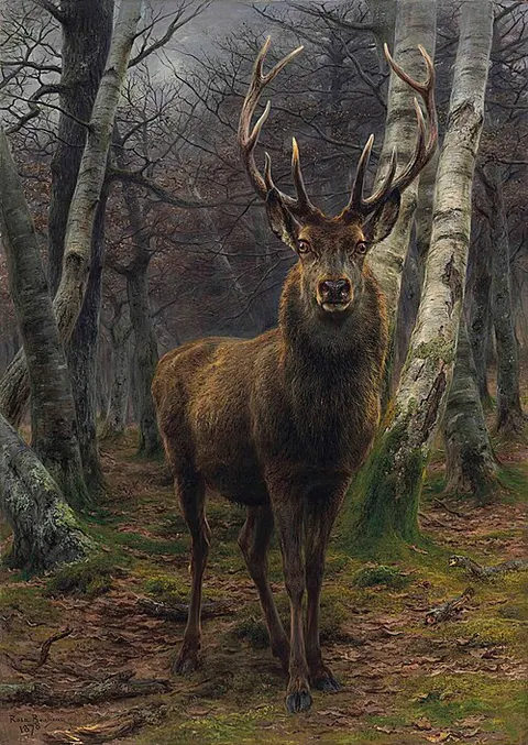 El rey del bosque