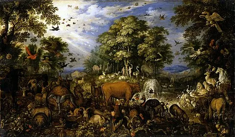 The paradise