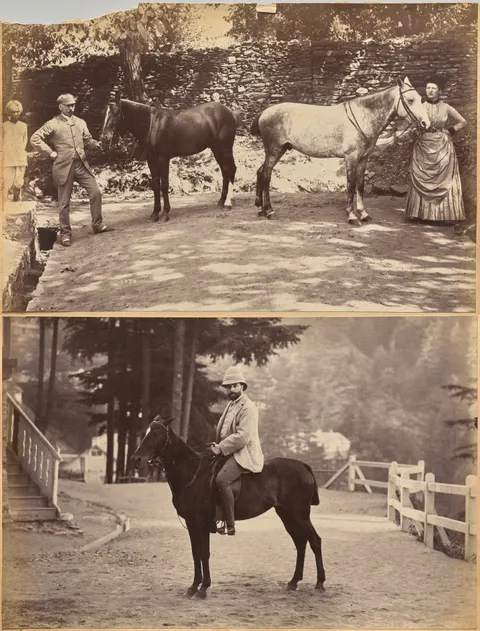 Col. F. G. Oldham (recto, top); Mr. Nowell, Shimla (recto, bottom)