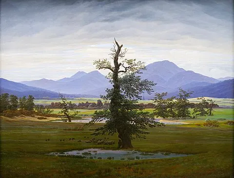 El árbol solitario