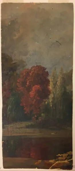 Trees in Autumn Foliage by a Stream