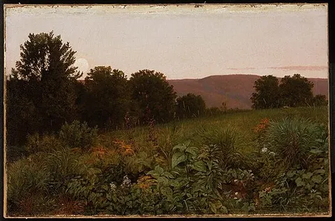Sunset on the Meadow