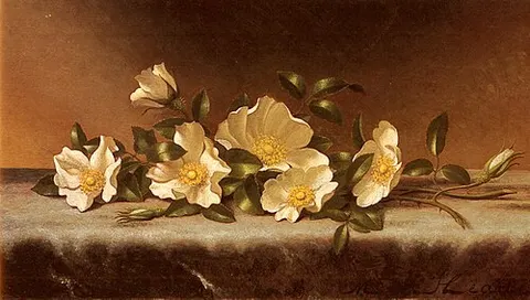 Cherokee Roses on a Light Gray Cloth