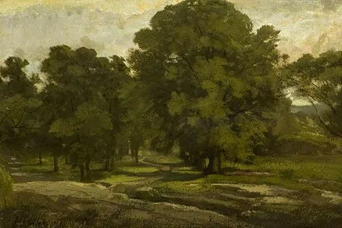 Entrée d'un bois