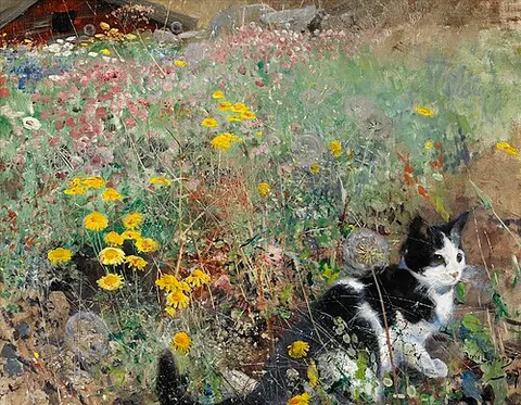 Cat on a flowery meadow