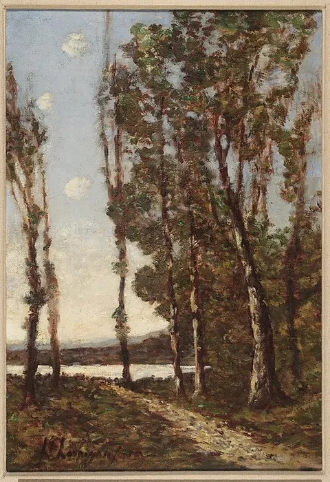 Clairière dans la forêt