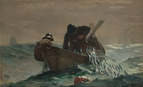 La red de arenques