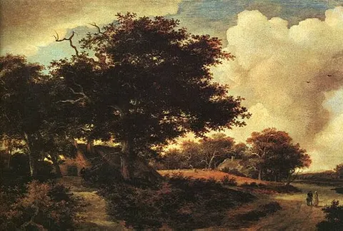 Landscape