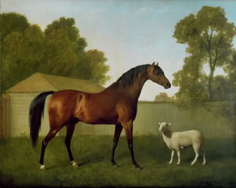 Dungannon with a Lamb