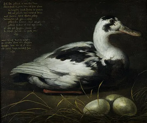 Portrait of the Sitting Duck 'Sijctghen'