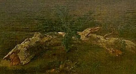 Study of a Branch with Fine Leaves